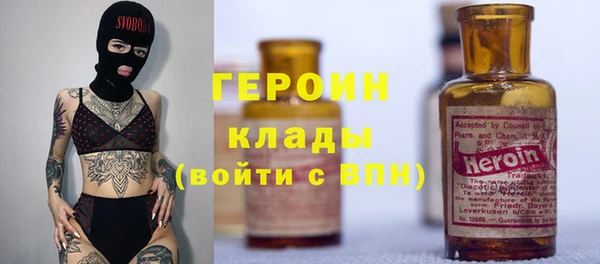 гашик Алексин