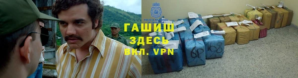 гашик Алексин