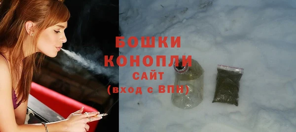 гашик Алексин