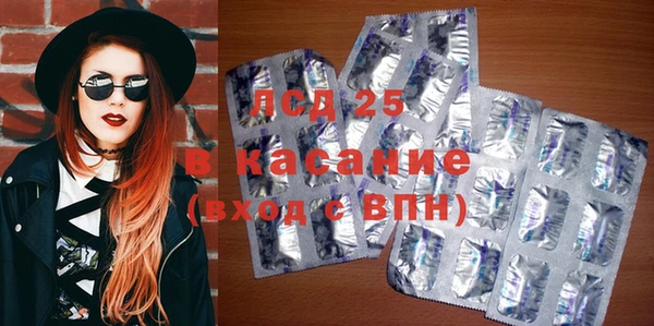 гашик Алексин