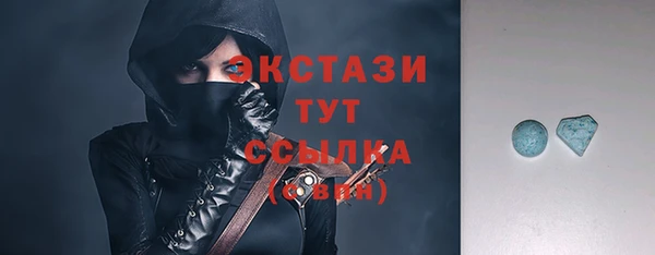 гашик Алексин