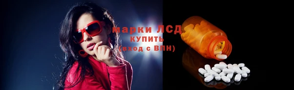 гашик Алексин