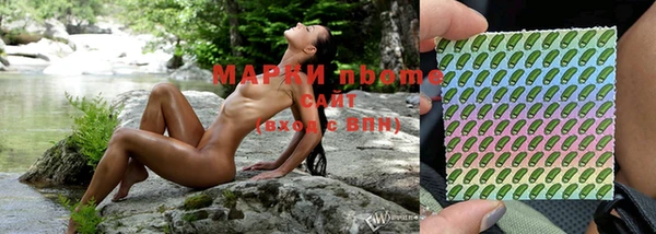 гашик Алексин