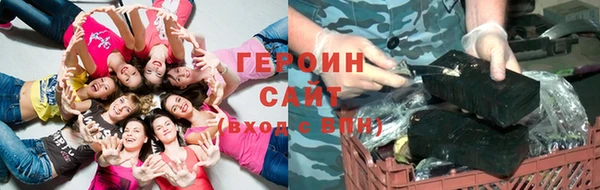 гашик Алексин